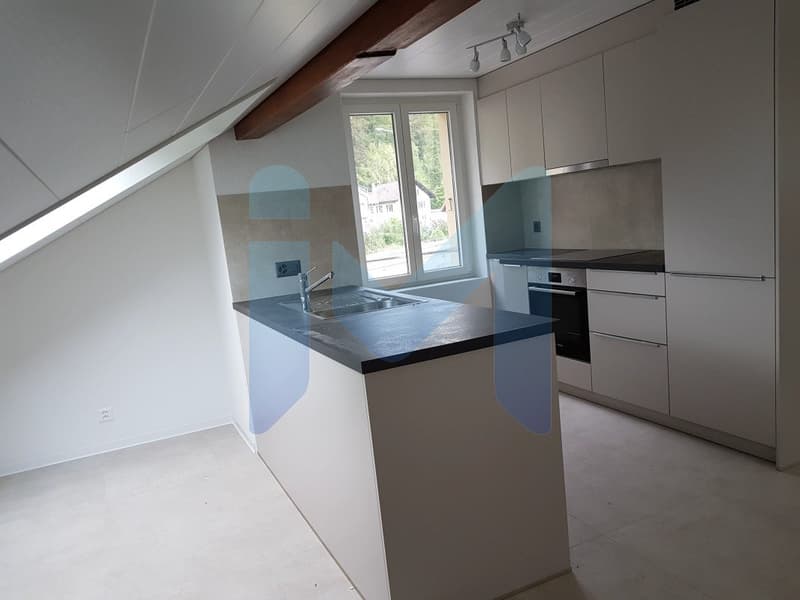appartement 2.5 pces avec grande terrasse (3)