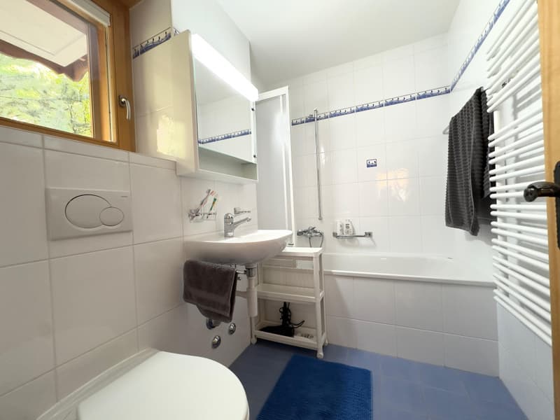OVRONNAZ - Appartement meublé de 3.5 pièces avec vue imprenable (8)