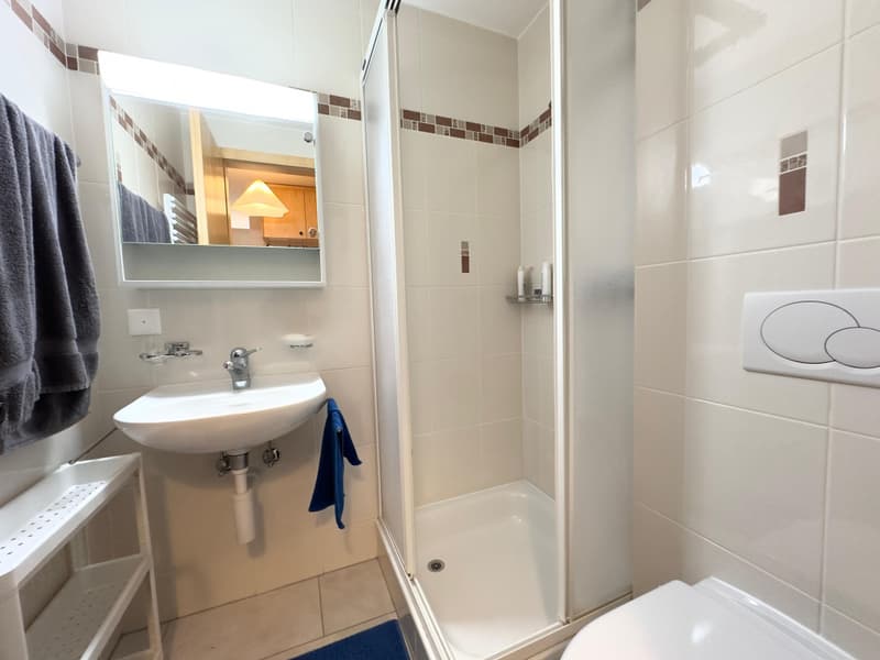 OVRONNAZ - Appartement meublé de 3.5 pièces avec vue imprenable (9)