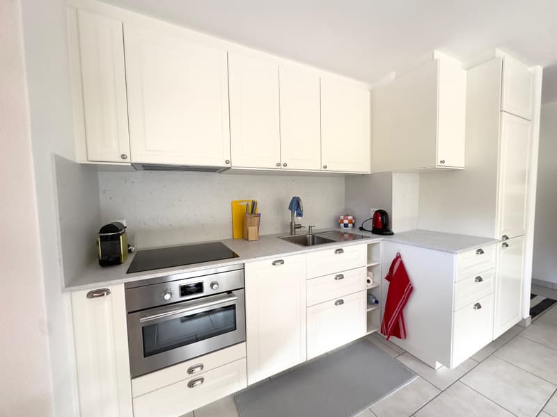 OVRONNAZ - Appartement meublé de 3.5 pièces avec vue imprenable (3)