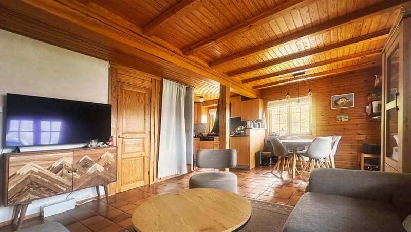 Chalet 4.5 pièces sur 790 m² de terrain, vue dégagée, 15 min de Sion (4)