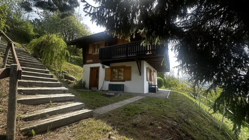 Chalet 4.5 pièces sur 790 m² de terrain, vue dégagée, 15 min de Sion (3)