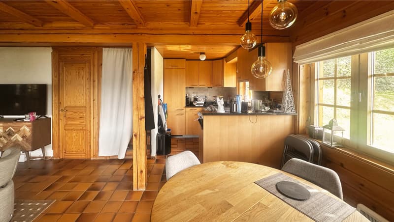 Chalet 4.5 pièces sur 790 m² de terrain, vue dégagée, 15 min de Sion (6)