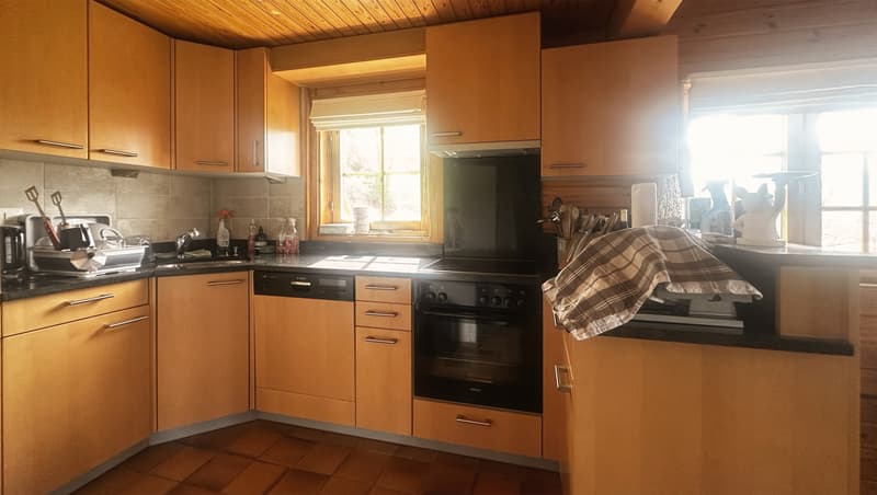 Chalet 4.5 pièces sur 790 m² de terrain, vue dégagée, 15 min de Sion (7)