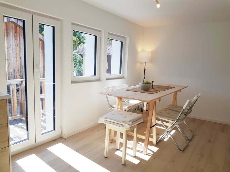 MAISON DE CHARME ÉCOLOGIQUE NEUVE AVEC PETIT JARDIN, 2 PARKINGS, BELLE VUE (5)