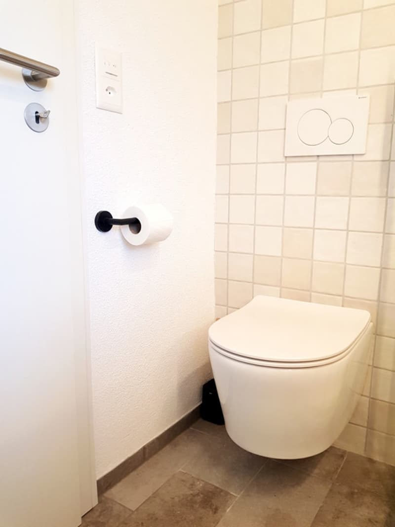 MAISON DE CHARME ÉCOLOGIQUE NEUVE AVEC PETIT JARDIN, 2 PARKINGS, BELLE VUE (9)