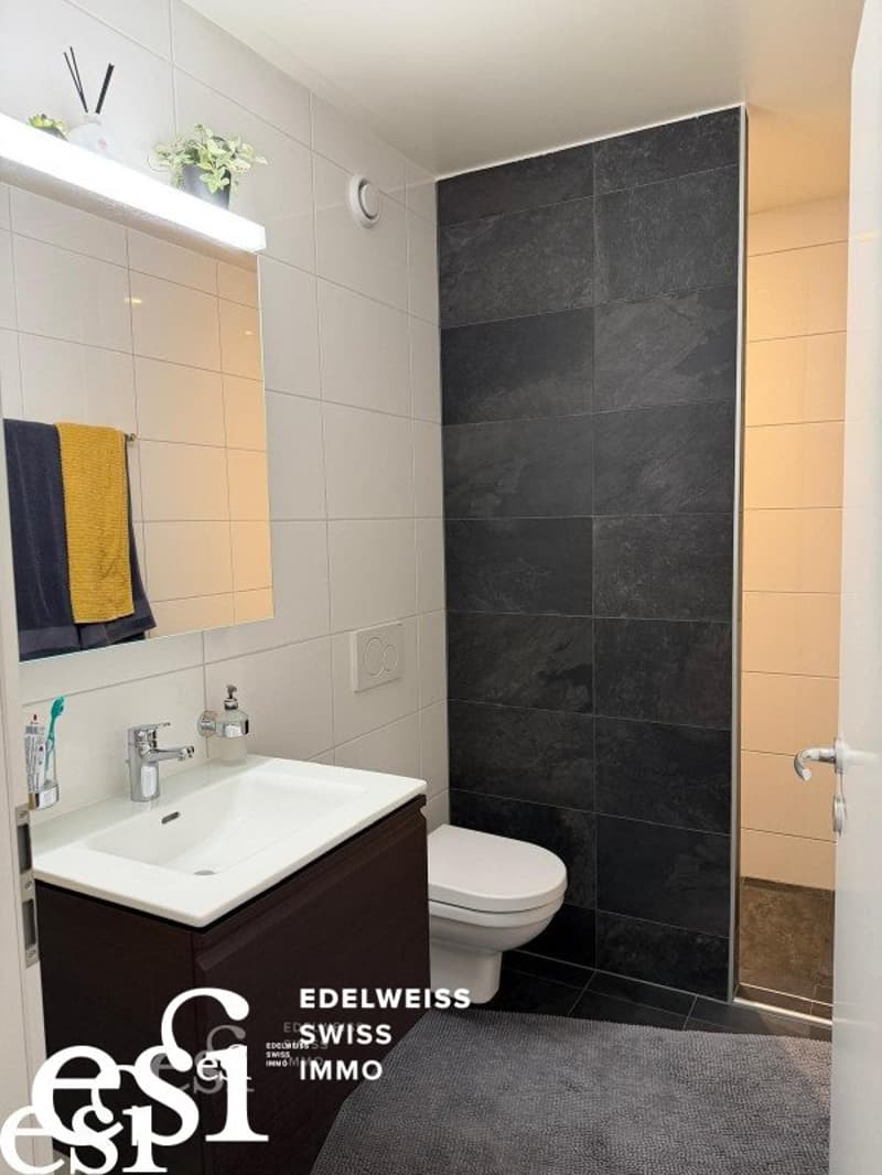 Splendide appartement minergie de 4.5 pces avec terrasse-jardin à Collombey (9)