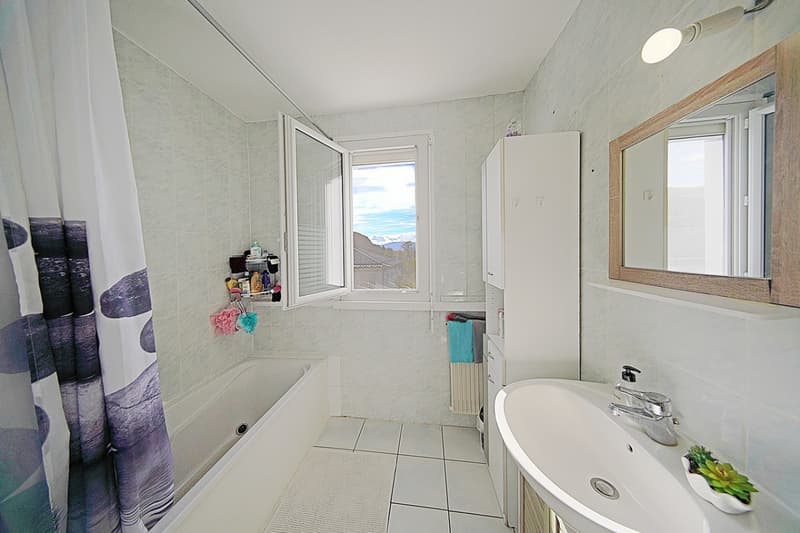 Appartement 3P loué (11)