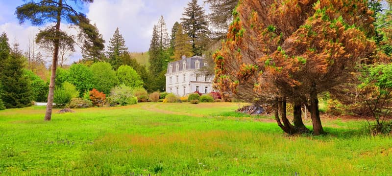 Devenez le gardien d'un joyau : un château dans les Vosges et son parc enchanté (13)