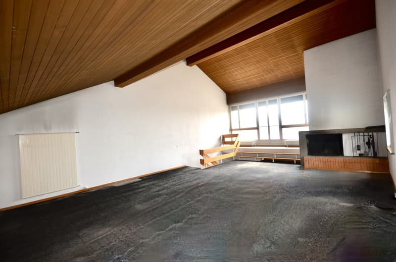 Appartement en attique avec terrasse et vue sur le lac et les Alpes. (2)