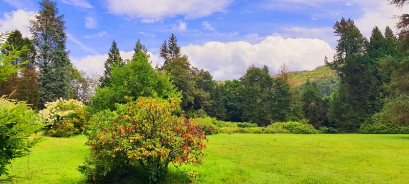 Devenez le gardien d'un joyau : un château dans les Vosges et son parc enchanté (12)