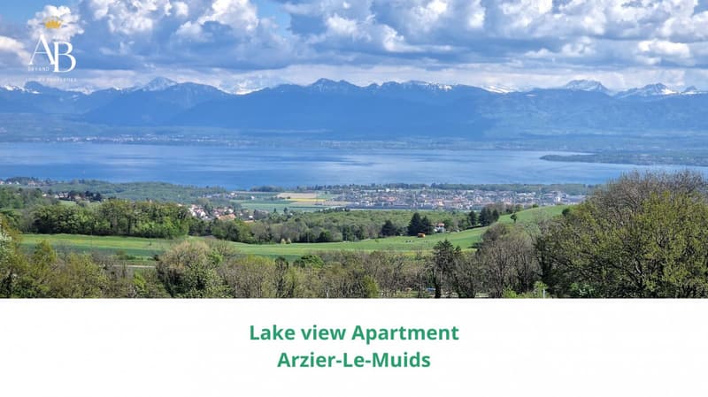 En exclusivité - Vue panoramique sur le lac et les montagnes, terrasse et jardin (3)