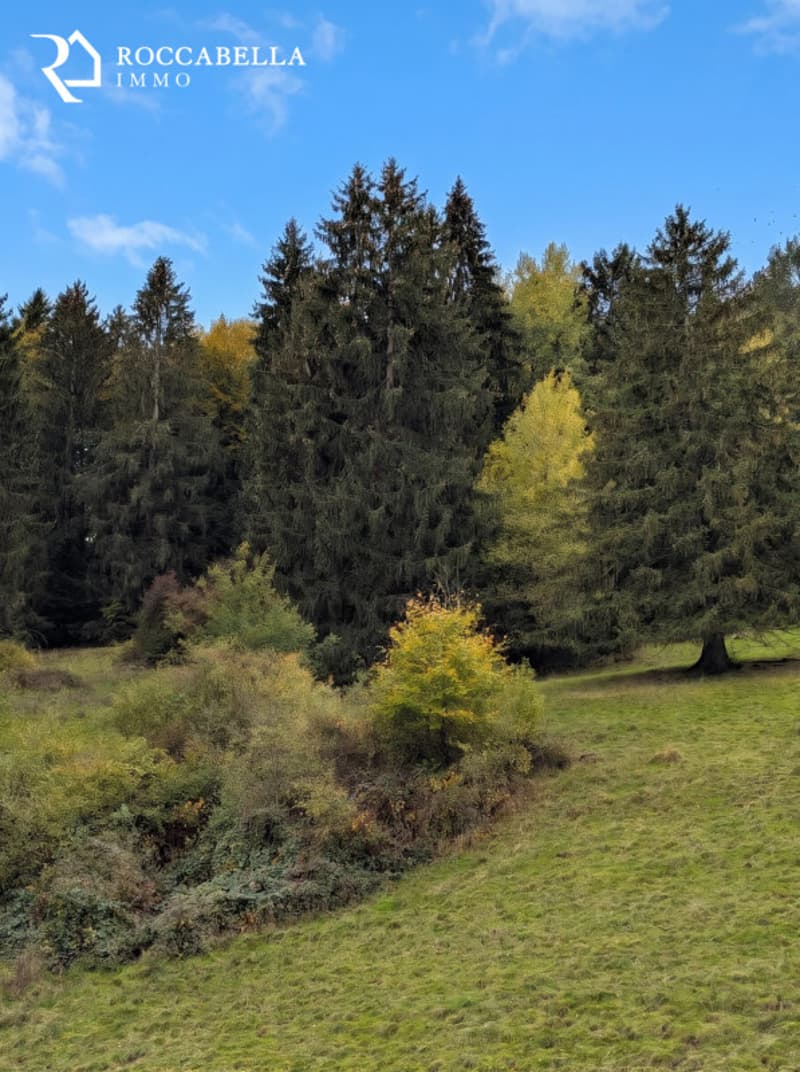 Très joli 4.5 pces loué, avec vue sur la nature !! Idéal 1er investissement !! (13)