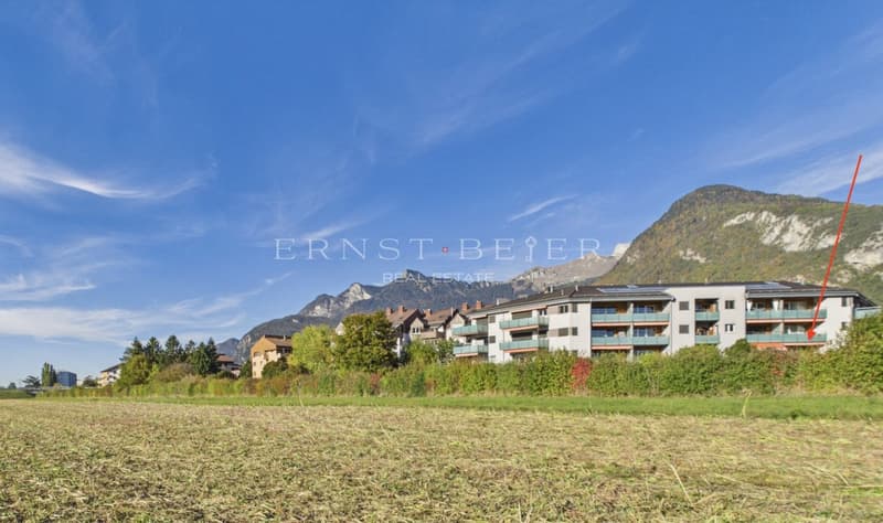 Bel appartement dans un quartier calme et résidentiel (12)