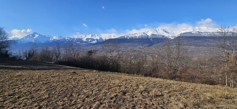 _slash_uploads_slash_2025_slash_03_slash_edb27128-b2e6-49d7-82ae-1fad61475ca7.jpg