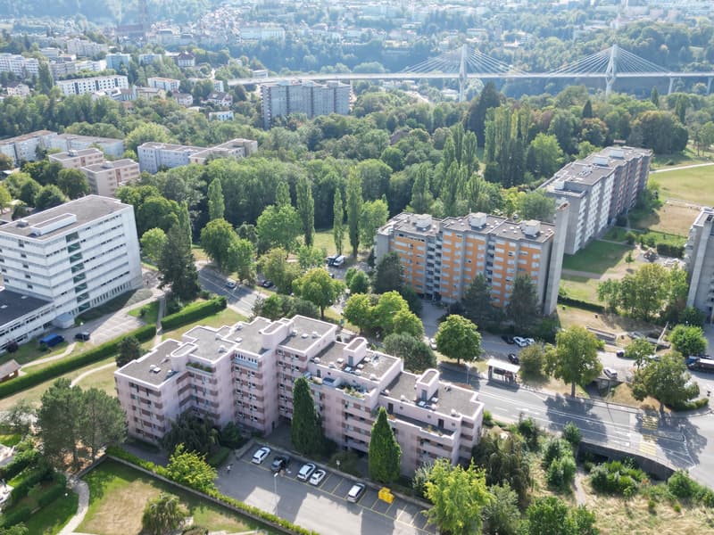DJI_0100.JPG