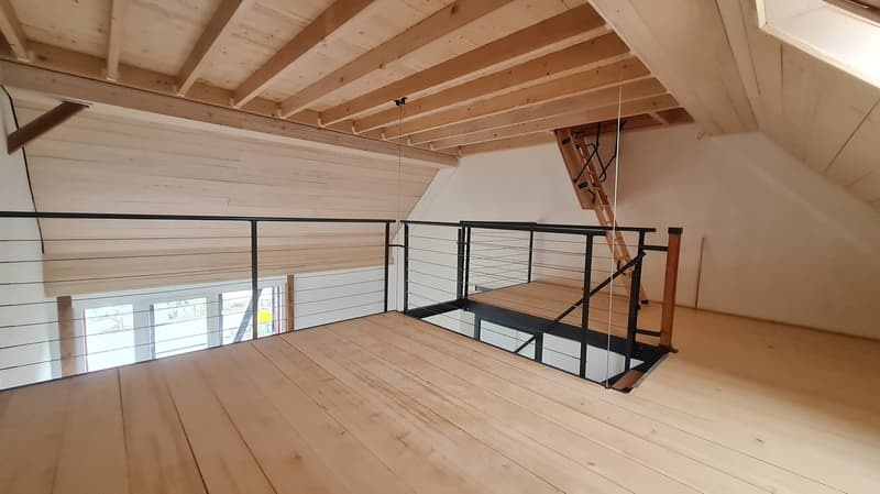 Einzigartige Loftwohnung in innovativem Cluster-Wohnprojekt zu vermieten (4)