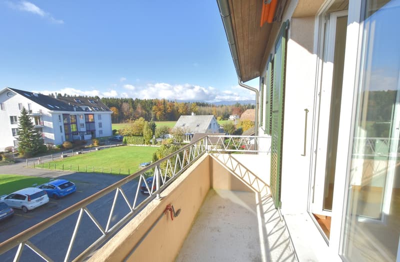 terraced balcony with metal railings, overlooking a parking lot with several parked cars, grass, and houses