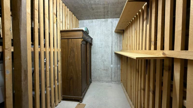 Wohnen mit Weitblick - grosszügige Maisonette-Dachwohnung mit Galerie und sonnigem Balkon (19)