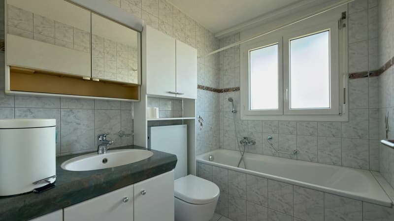 Wohnen mit Weitblick - grosszügige Maisonette-Dachwohnung mit Galerie und sonnigem Balkon (9)