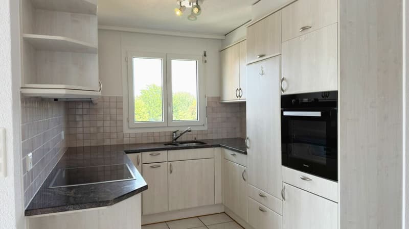 Wohnen mit Weitblick - grosszügige Maisonette-Dachwohnung mit Galerie und sonnigem Balkon (6)