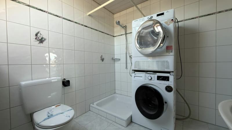 Wohnen mit Weitblick - grosszügige Maisonette-Dachwohnung mit Galerie und sonnigem Balkon (15)