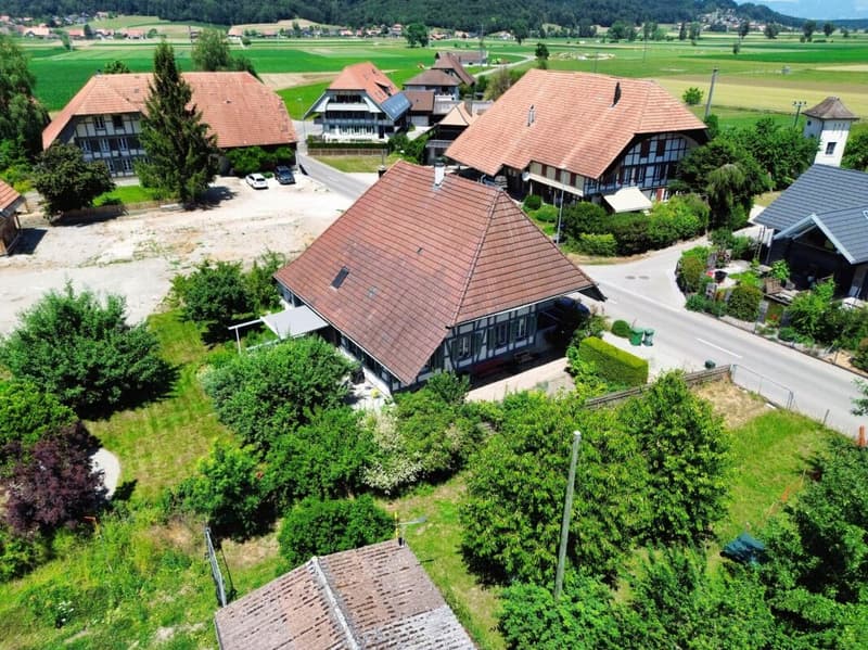 Ein Haus mit Seele - historisch, sonnig und vielseitig (1)