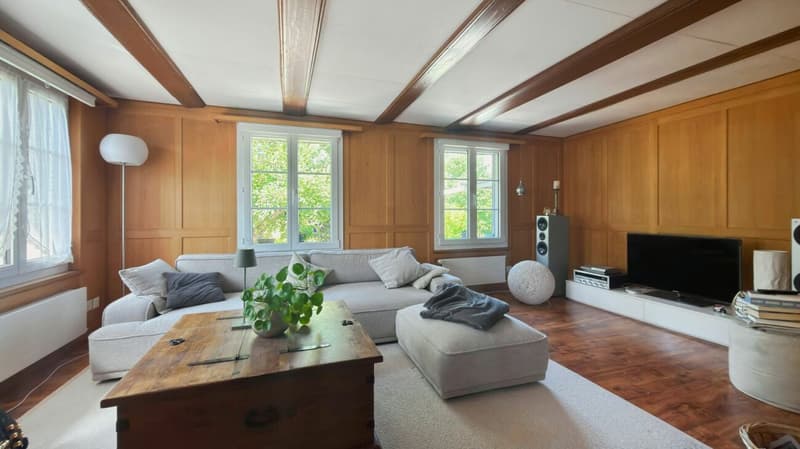 Ein Haus mit Seele - historisch, sonnig und vielseitig (6)