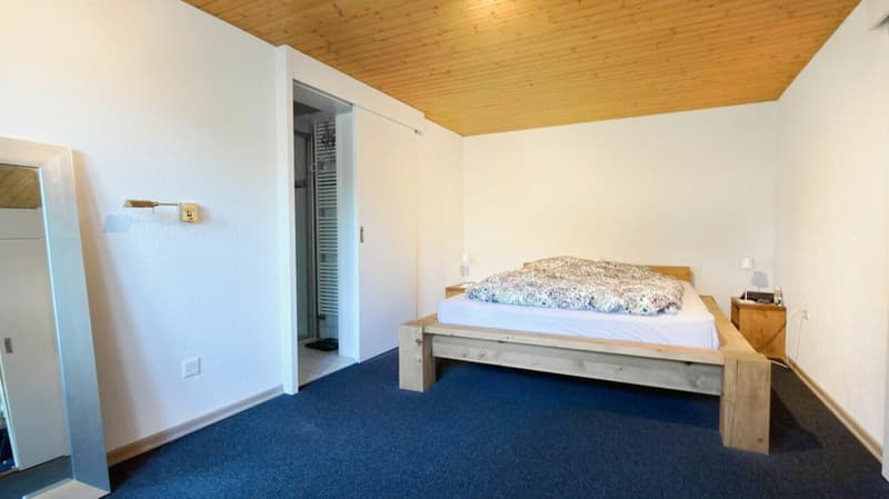 Ein Haus mit Seele - historisch, sonnig und vielseitig (11)