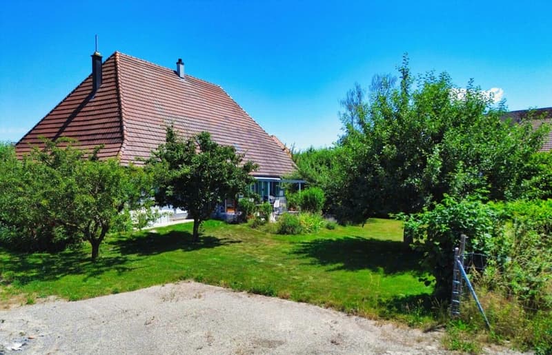 Ein Haus mit Seele - historisch, sonnig und vielseitig (2)