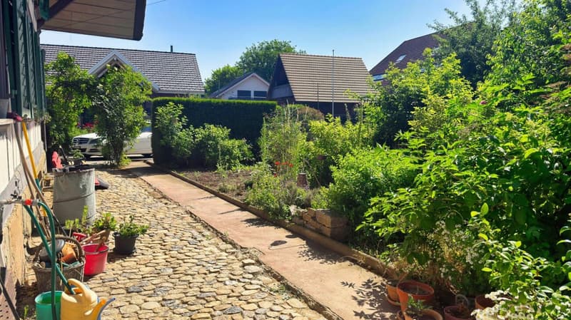 Ein Haus mit Seele - historisch, sonnig und vielseitig (5)
