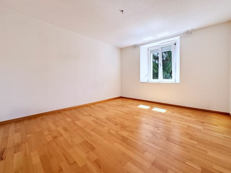 Helle Wohnung mit diversen Extras an idyllischer Lage (6)