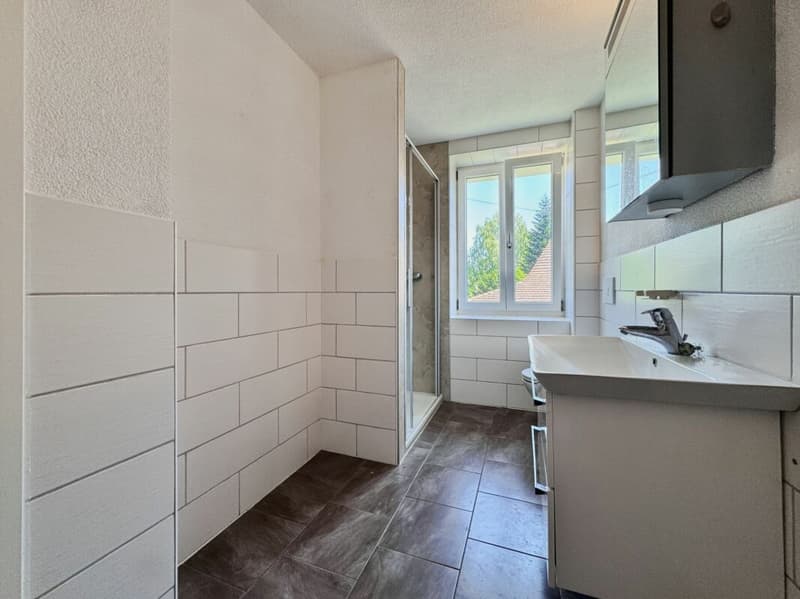 Helle Wohnung mit diversen Extras an idyllischer Lage (8)