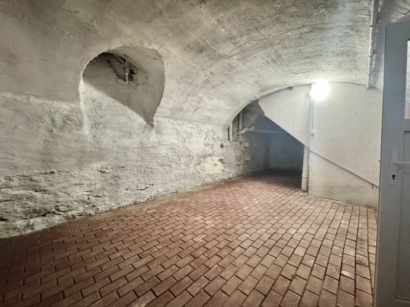 Helle Wohnung mit diversen Extras an idyllischer Lage (12)