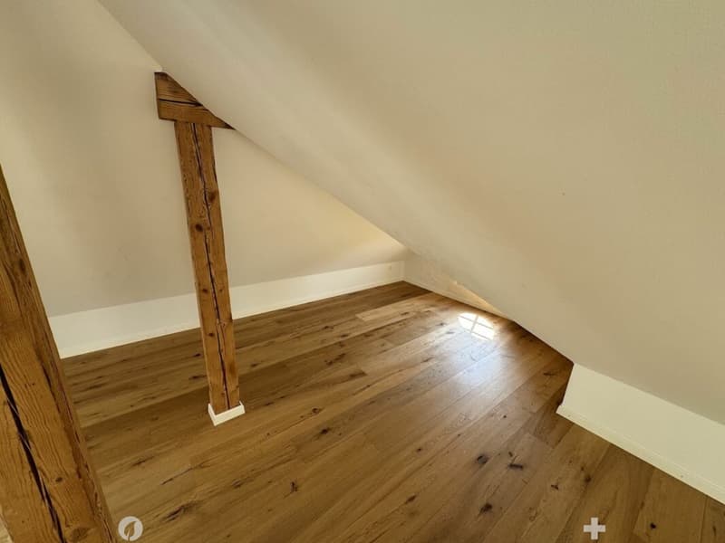 Sonnige Dachwohnung mit Sichtbalken und besonderem Charme (7)