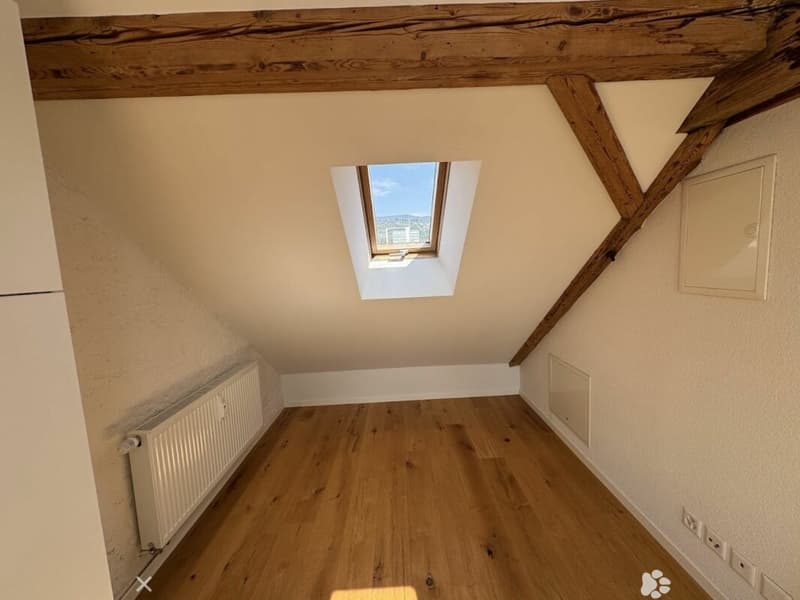 Sonnige Dachwohnung mit Sichtbalken und besonderem Charme (6)