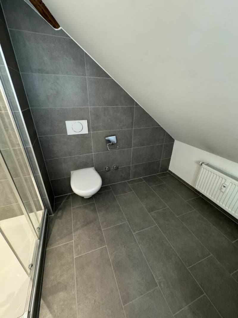 Sonnige Dachwohnung mit Sichtbalken und besonderem Charme (11)