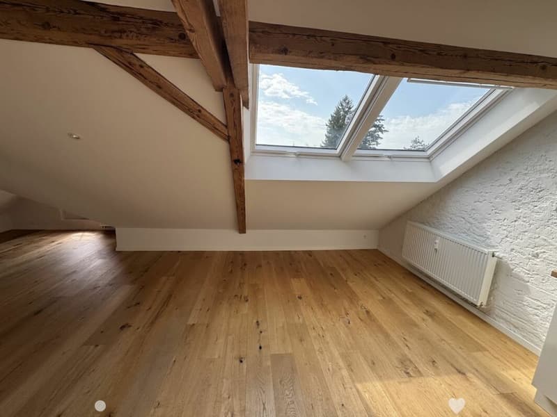Sonnige Dachwohnung mit Sichtbalken und besonderem Charme (1)