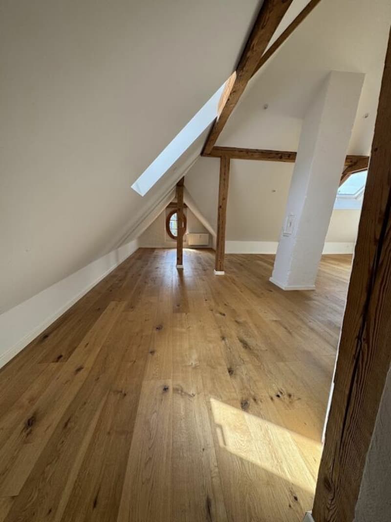 Sonnige Dachwohnung mit Sichtbalken und besonderem Charme (13)