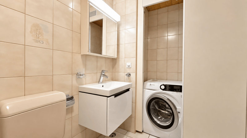 Charmante Dachwohnung mit Cheminée, grossem Balkon und Weitsicht (9)