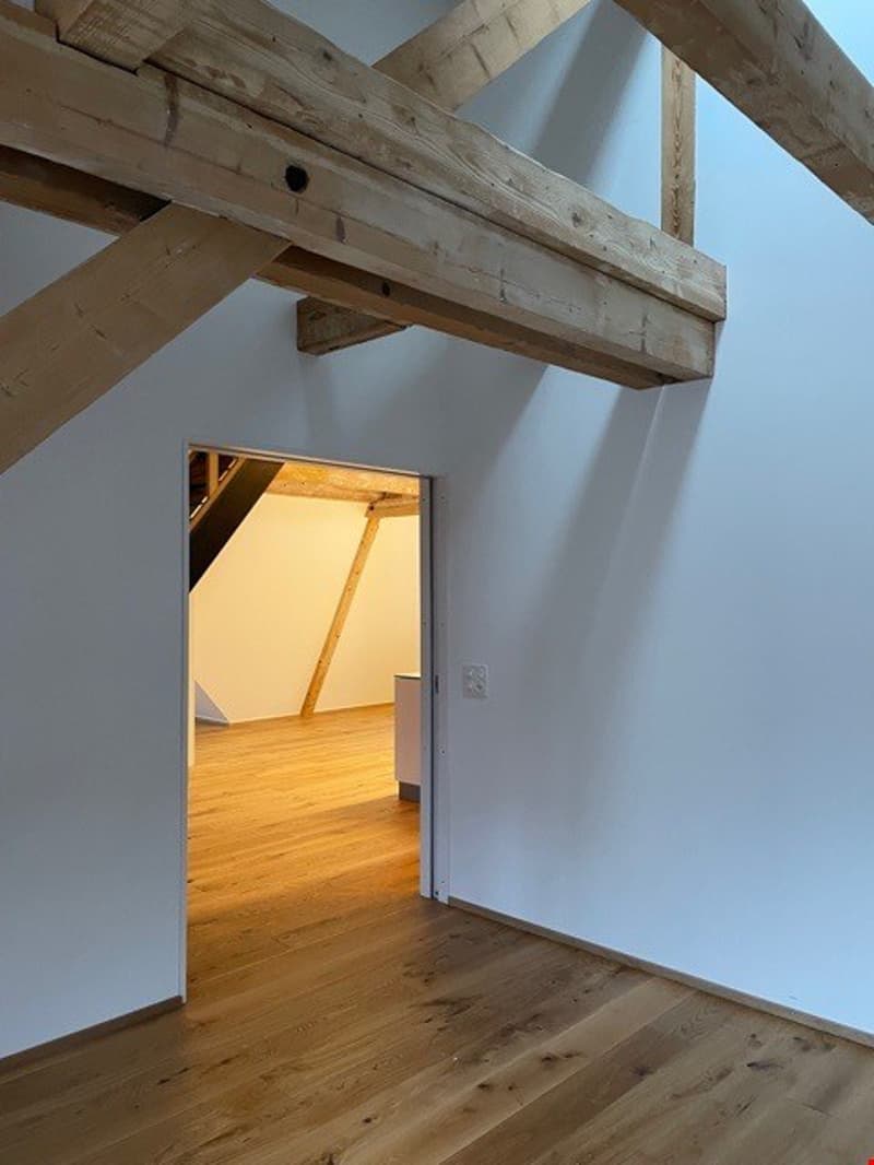 Bern Breiternrain - einzigartige Galeriedachwohnung (11)