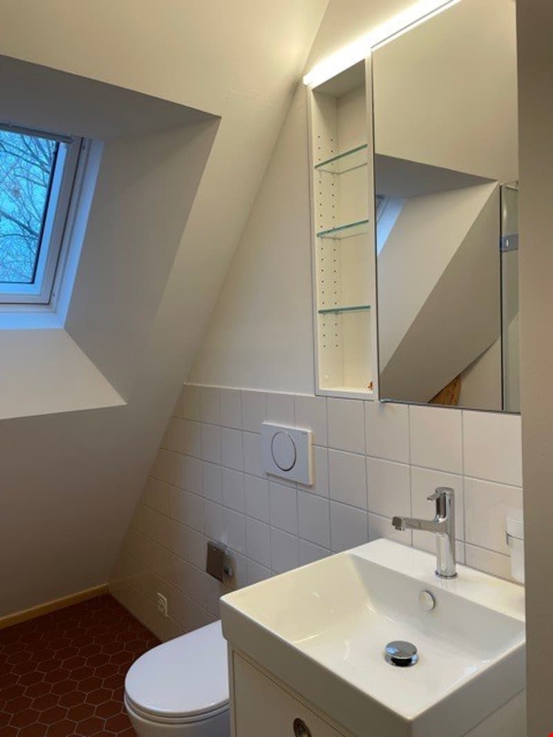 Bern Breiternrain - einzigartige Galeriedachwohnung (13)
