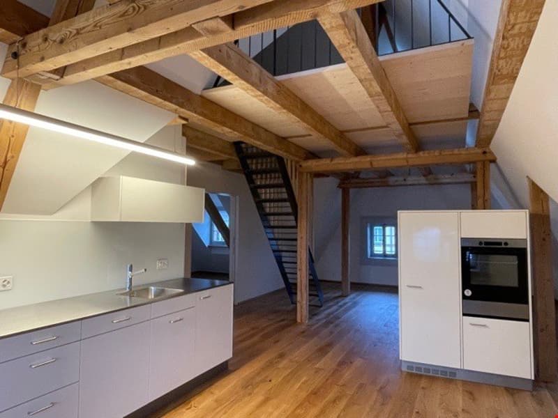 Bern Breiternrain - einzigartige Galeriedachwohnung (2)