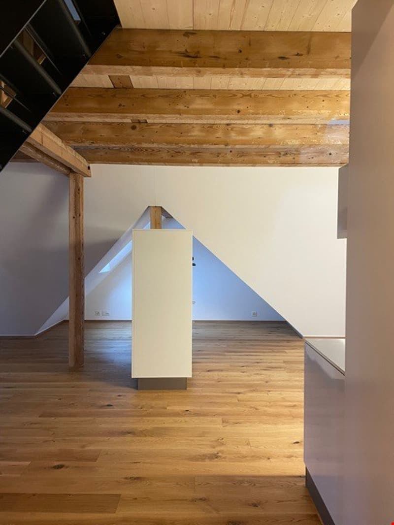 Bern Breiternrain - einzigartige Galeriedachwohnung (6)