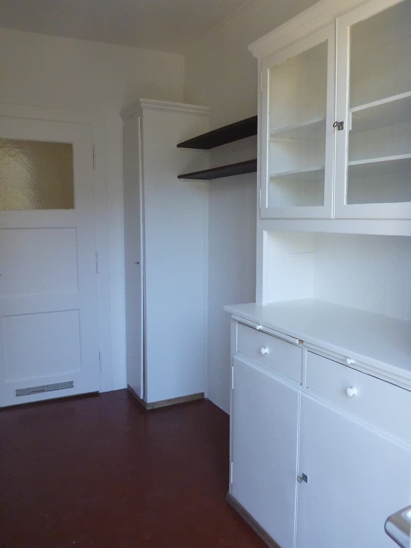 Bern Monbijou - charmante Altbauwohnung (11)
