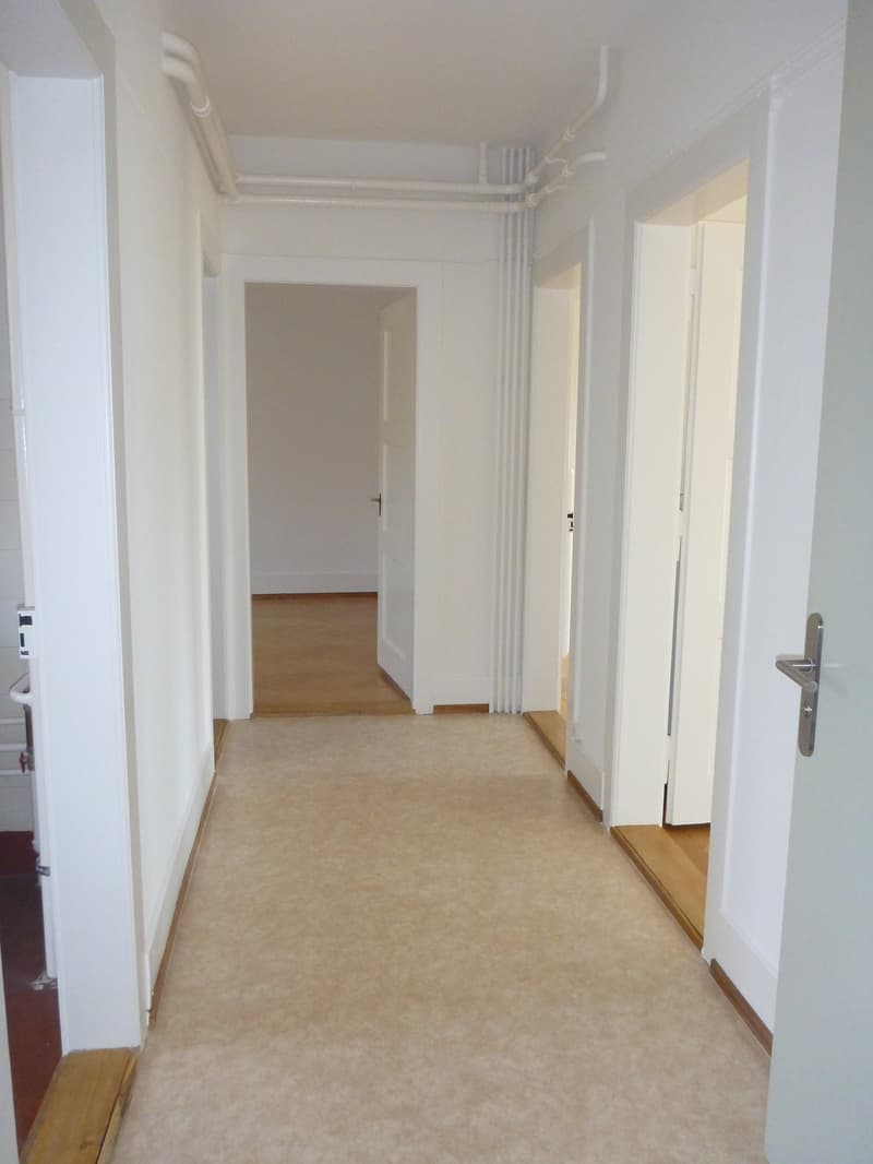 Bern Monbijou - charmante Altbauwohnung (7)