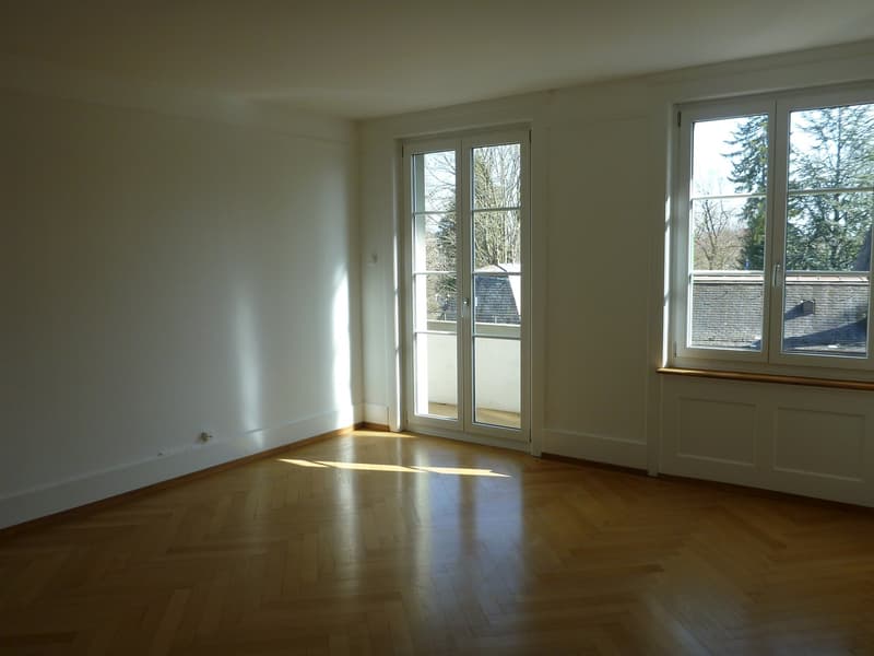 Bern Monbijou - charmante Altbauwohnung (3)