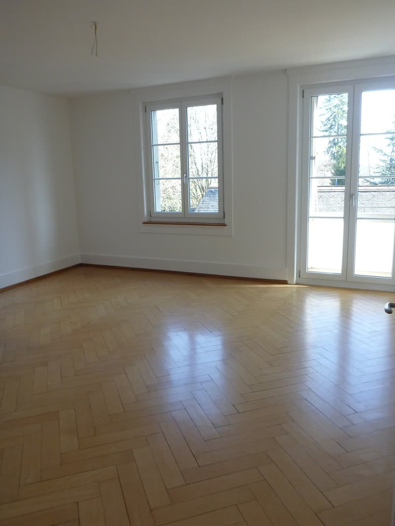 Bern Monbijou - charmante Altbauwohnung (5)