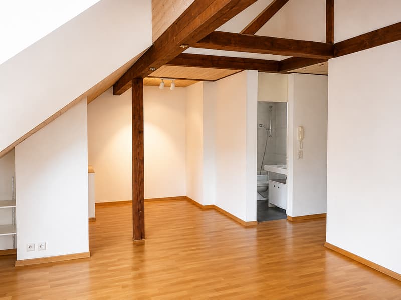 Bern Lorraine - charmante 2-Zimmer-Dachwohnung (5)