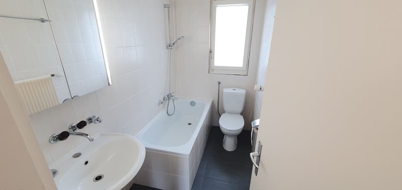 Charmante 1.5-Zimmer-Attikawohnung mit Balkon und Aussicht in Olten (2)